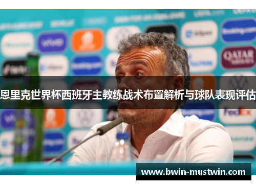 恩里克世界杯西班牙主教练战术布置解析与球队表现评估