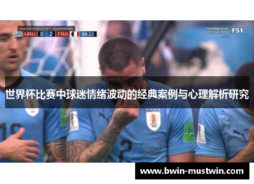 世界杯比赛中球迷情绪波动的经典案例与心理解析研究 世界杯比赛中球迷情绪波动的经典案例与心理解析研究