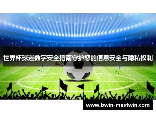 世界杯球迷数字安全指南守护您的信息安全与隐私权利