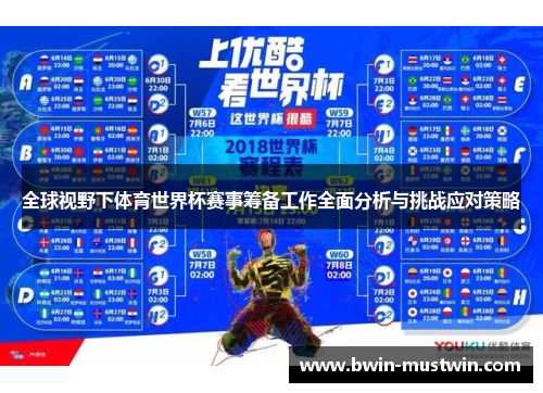 全球视野下体育世界杯赛事筹备工作全面分析与挑战应对策略 全球视野下体育世界杯赛事筹备工作全面分析与挑战应对策略