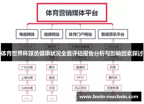 体育世界杯球员健康状况全面评估报告分析与影响因素探讨 体育世界杯球员健康状况全面评估报告分析与影响因素探讨