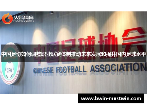 中国足协如何调整职业联赛体制推动未来发展和提升国内足球水平 中国足协如何调整职业联赛体制推动未来发展和提升国内足球水平