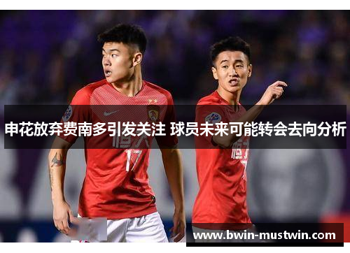 申花放弃费南多引发关注 球员未来可能转会去向分析