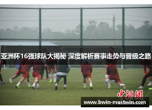 亚洲杯16强球队大揭秘 深度解析赛事走势与晋级之路